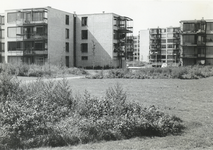 502831 Gezicht in het plantsoen bij de experimentele flats aan de Amazonedreef te Utrecht.